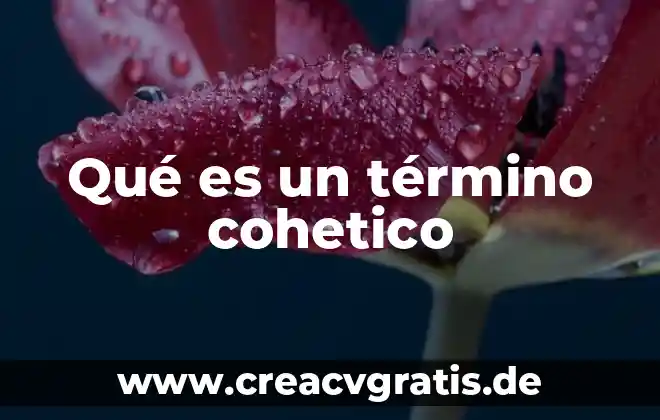 ¿Qué es el término caloria? 6 Qué es un término cohetico