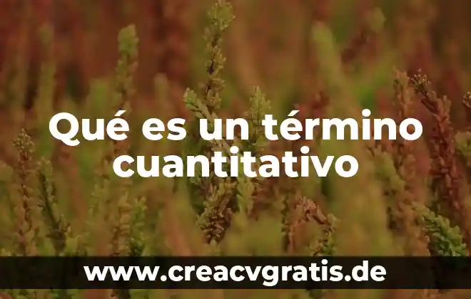 Qué es etimología del término ayuntamiento 3 Qué es un término cuantitativo