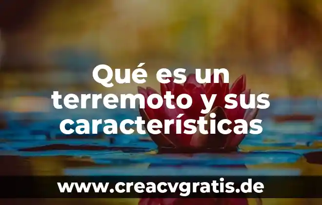 Que es un mapache y sus caracteristicas 4 Qué es un terremoto y sus características