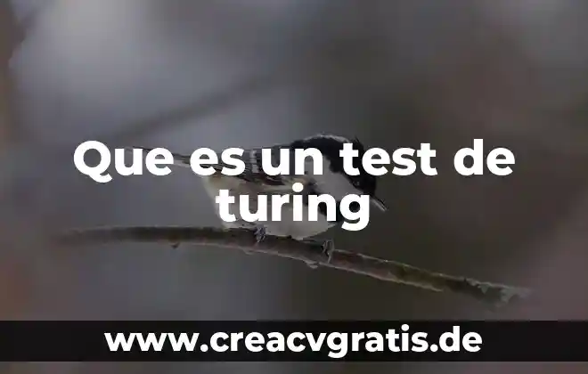 Que es mas famoso test 5 Que es un test de turing