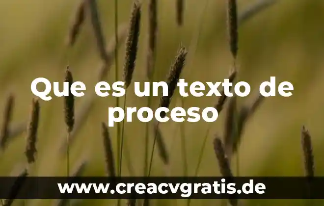 Qué es un texto escolar que significa eileen 8 Que es un texto de proceso