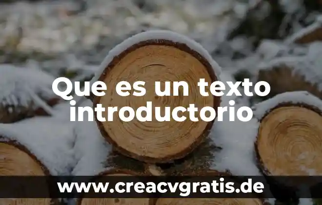 Que es un texto y tipos de texto 4 Que es un texto introductorio