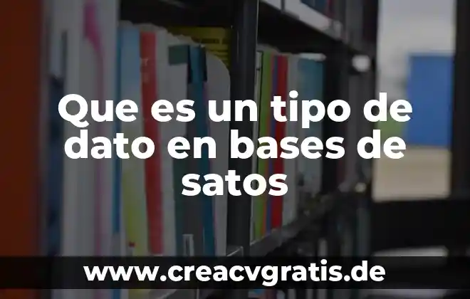 Qué es un bien según menger 5 Que es un tipo de dato en bases de satos