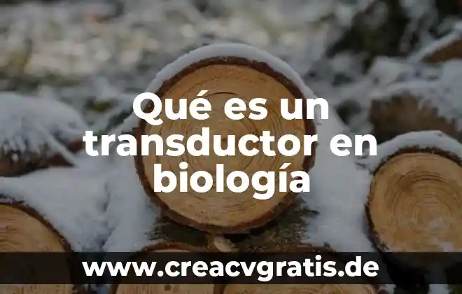 Qué es el ovíparo en biología 7 Qué es un transductor en biología