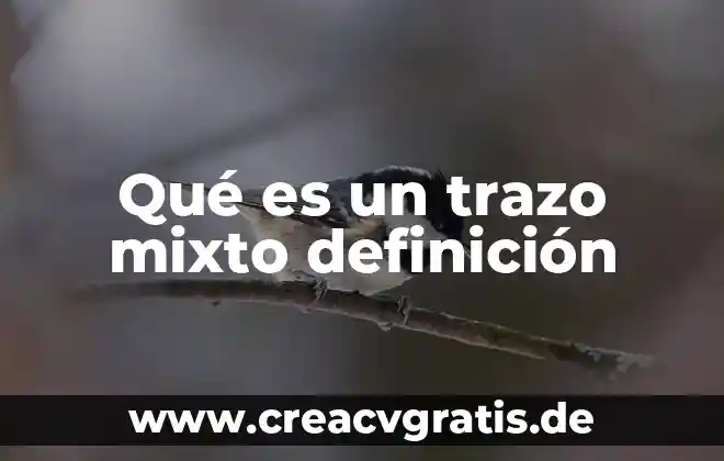 Que es trazo en estructuras metalicas 6 Qué es un trazo mixto definición