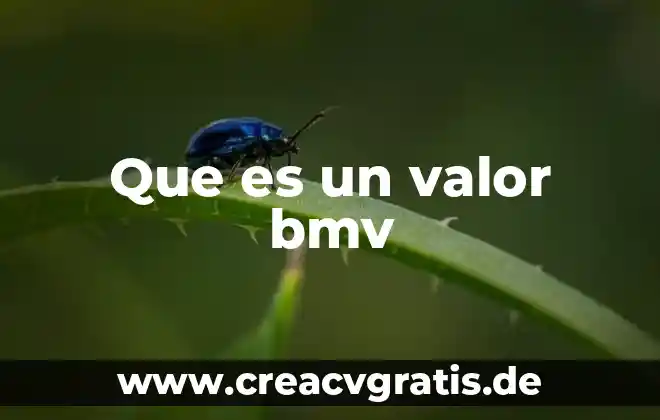 Qué es el valor de la verdad y la honestidad 8 Que es un valor bmv