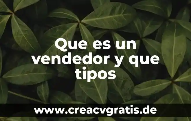Vendedor silencioso que es 4 Que es un vendedor y que tipos