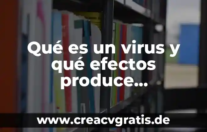 Qué es el régimen voluntario para efectos del IMSS 6 Qué es un virus y qué efectos produce computadoras