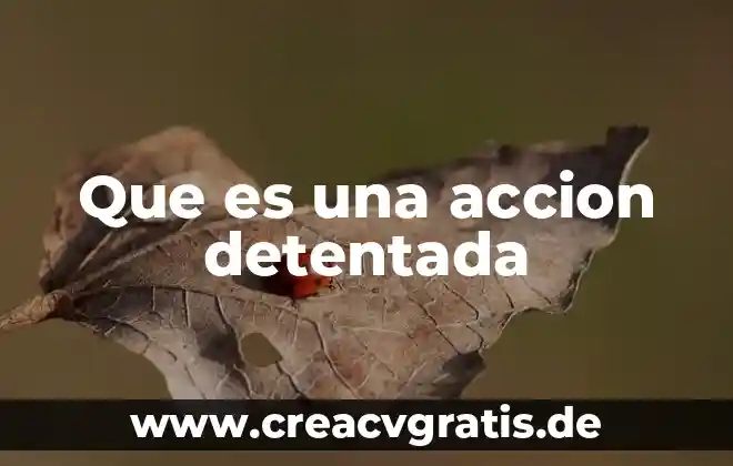 Que es una accion preferente y comun 4 Que es una accion detentada
