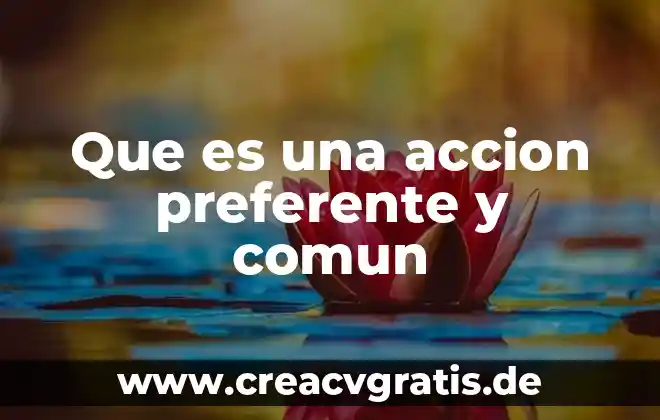 Que es la accion en un teto dramatico 8 Que es una accion preferente y comun