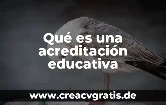 Qué es psicología educativa 8 Qué es una acreditación educativa