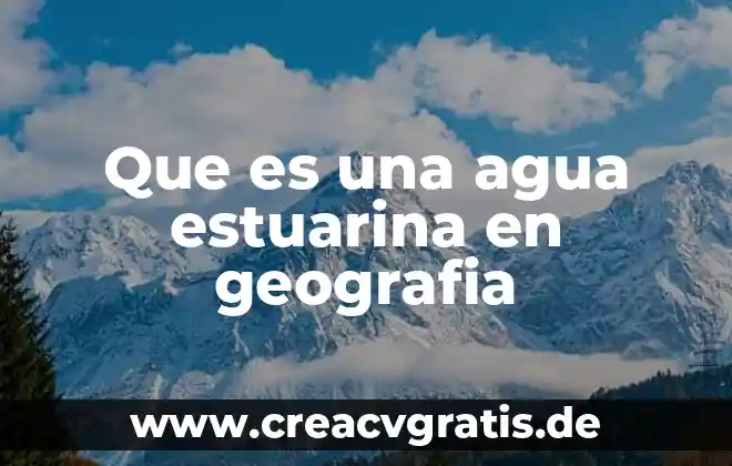 Que es 300 cc de agua 3 Que es una agua estuarina en geografia