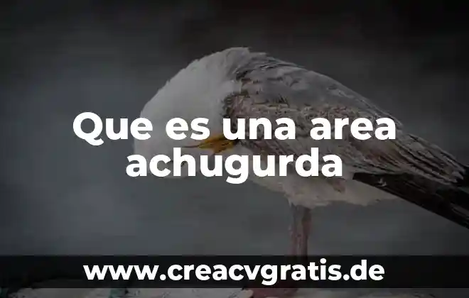 Qué es el representante de la psicología sistémica 3 Que es una area achugurda
