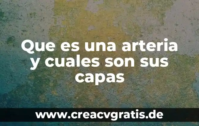 Que es la materia prima y cuales son 6 Que es una arteria y cuales son sus capas