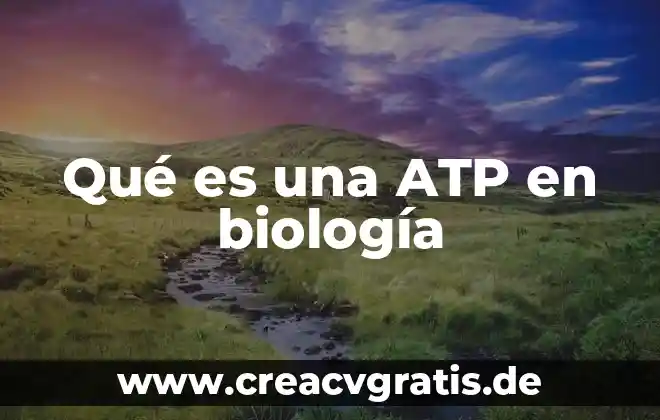 Que es leptoteno en biologia 3 Qué es una ATP en biología