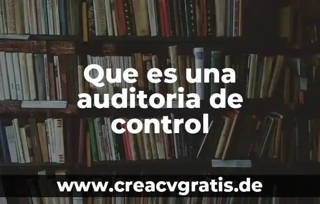 Qué es nombres auditoria de formulas en excel 6 Que es una auditoria de control