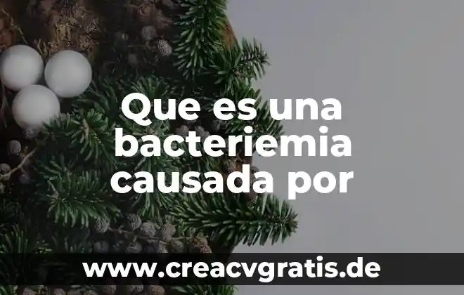 Que es eñ sol 3 Que es una bacteriemia causada por