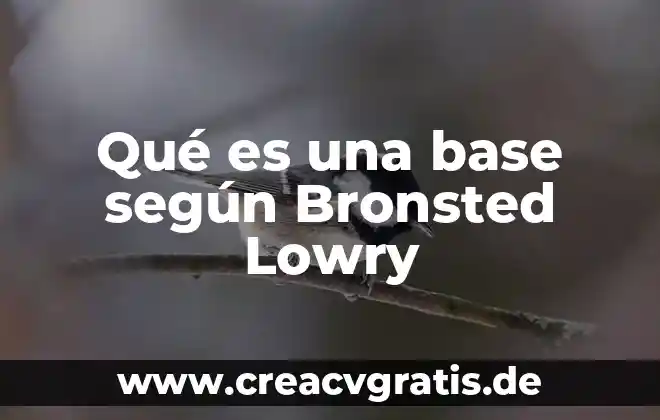 Que es estrella base de datos 4 Qué es una base según Bronsted Lowry