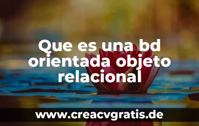 Que es el objeto ole en la base de datos 8 Que es una bd orientada objeto relacional
