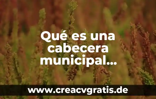 Que es el bullying significado causas y consecuencias 6 Qué es una cabecera municipal significado