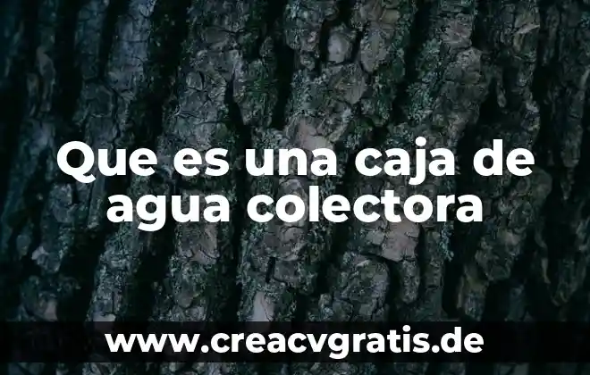 Que es prevenir una contaminacion de agua 7 Que es una caja de agua colectora