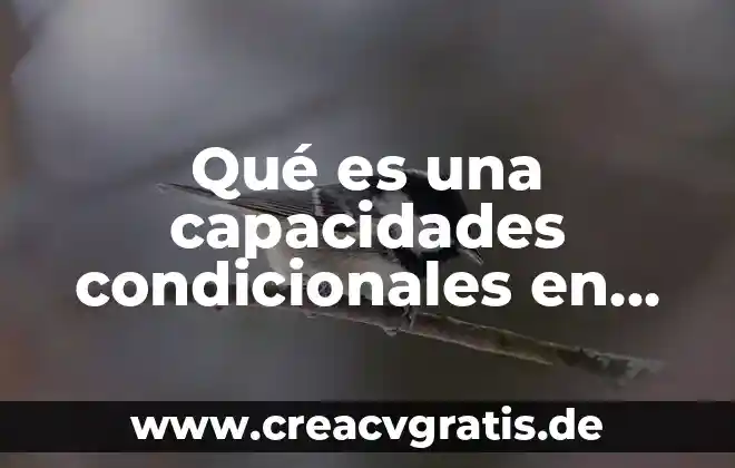 Que es paradoja y ejemplos en educación física 4 Qué es una capacidades condicionales en educación física