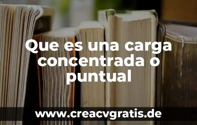 Que es la carga util 5 Que es una carga concentrada o puntual