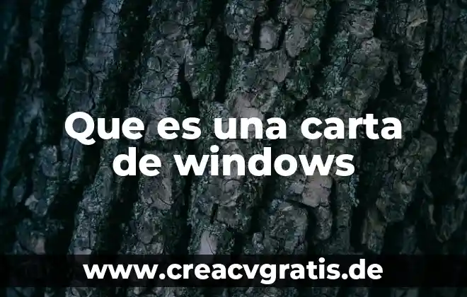 Qué significa o qué es un WAN en informática 7 Que es una carta de windows
