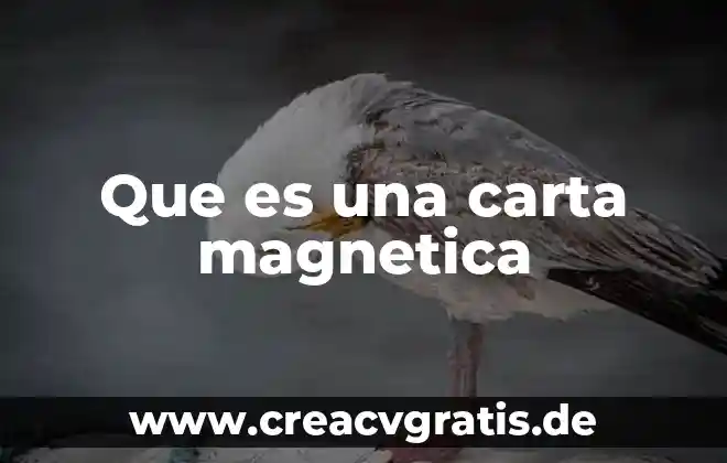 Qué es energía magnética para colorear 3 Que es una carta magnetica