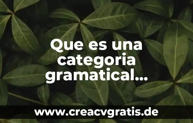 Que es economia modelos capitalista+ 5 Que es una categoria gramatical ejemplos