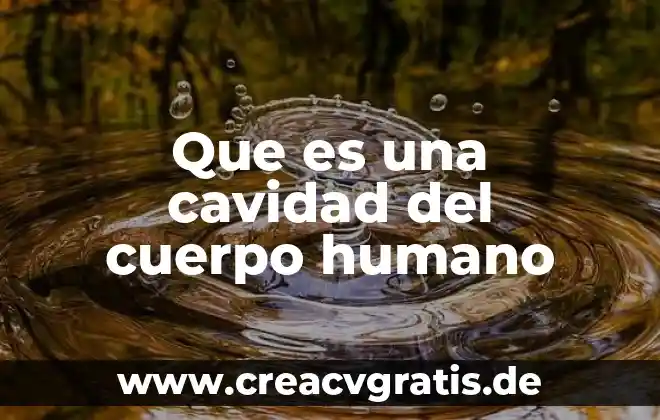 Que es el ser humano espiritual mapa mental 5 Que es una cavidad del cuerpo humano