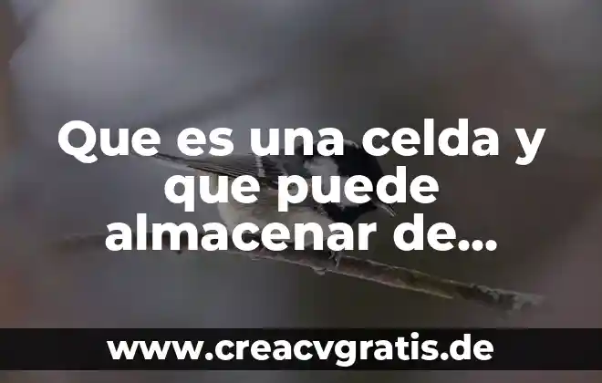 Qué es la diarrea y qué alimentos se puede consumir 5 Que es una celda y que puede almacenar de Excel