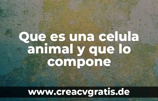 Que es la celula humana 8 Que es una celula animal y que lo compone