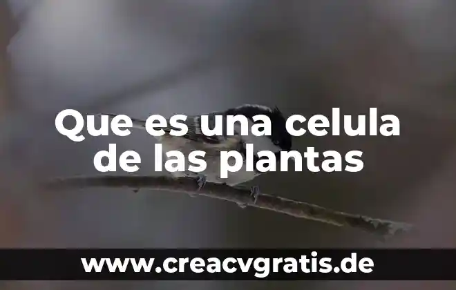 Qué es la lisosoma de la célula animal 8 Que es una celula de las plantas