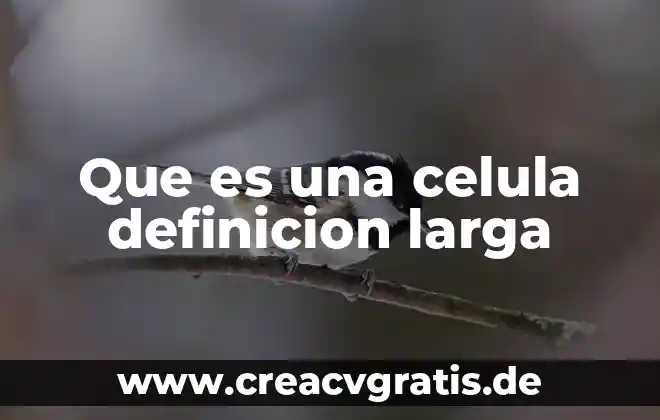 Que es una estrella definicion larga 6 Que es una celula definicion larga