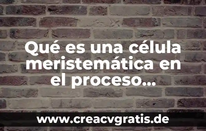 Qué es la célula productora de señal 8 Qué es una célula meristemática en el proceso organogénico