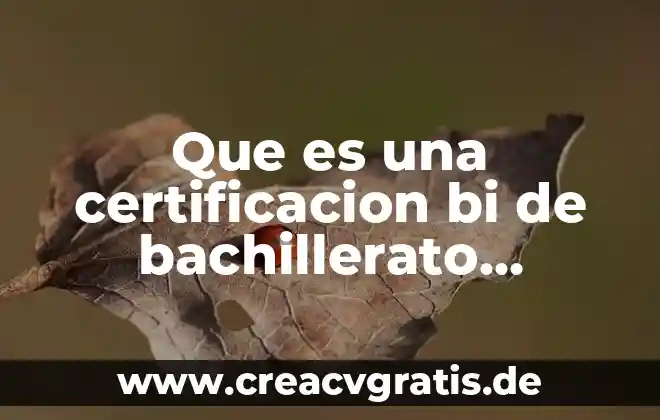 Que es bi directional data 6 Que es una certificacion bi de bachillerato internacional