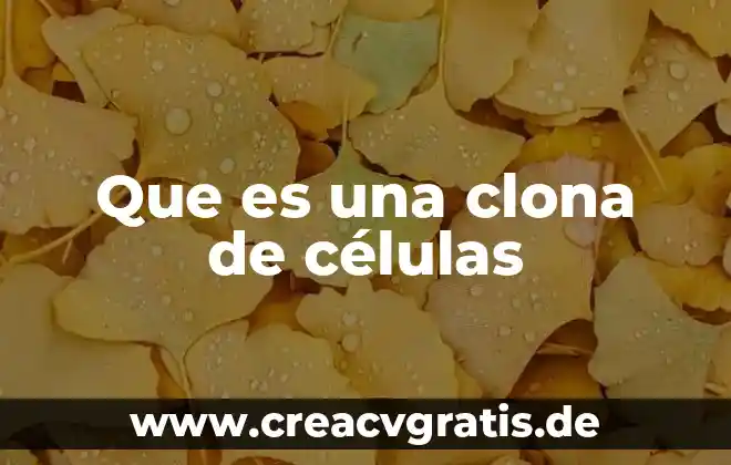 Qué es un receptor y señal en las células 3 Que es una clona de células