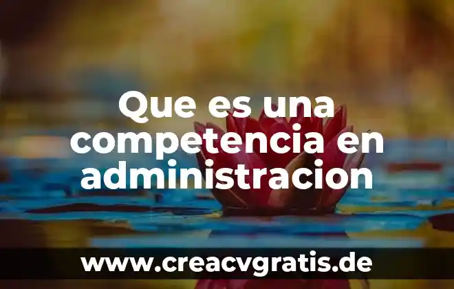 Que es vertiente en administracion 5 Que es una competencia en administracion