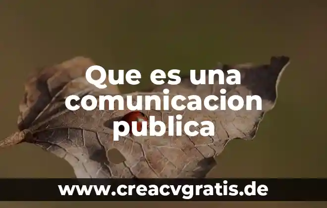 Para que es importancia derecho en contaduria publica 8 Que es una comunicacion publica