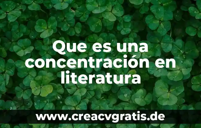Que es revisión de la literatura 6 Que es una concentración en literatura