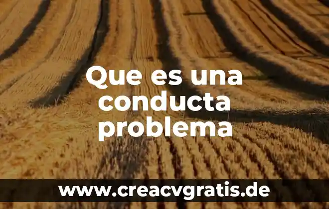 Que es una conducta segura 7 Que es una conducta problema