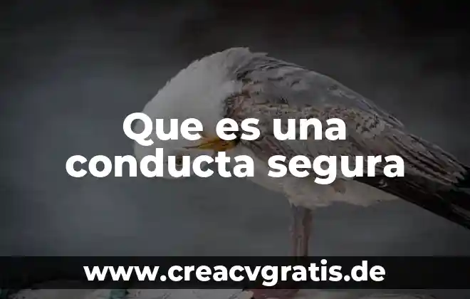 Que es una conducta problema 8 Que es una conducta segura