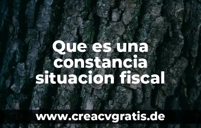 Por que es una situacion problematica en una carta formal 3 Que es una constancia situacion fiscal