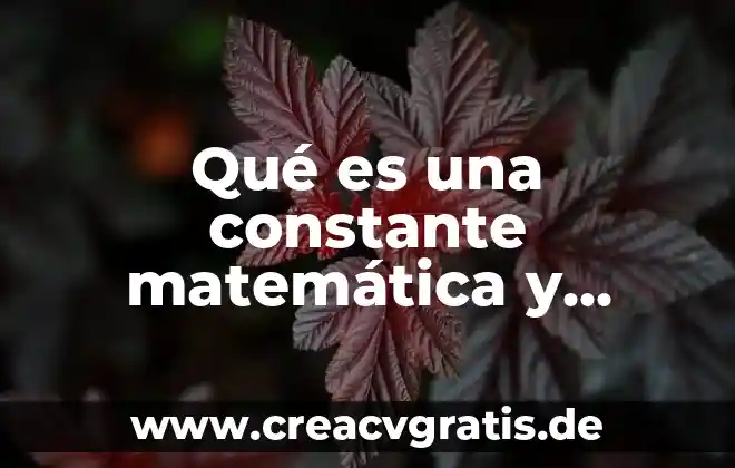 Qué es ser un país subdesarrollado 5 Qué es una constante matemática y cuántas existen