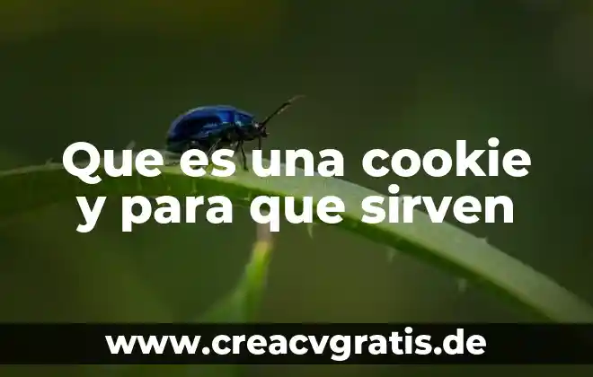 Agua que es y para qué sirven 8 Que es una cookie y para que sirven