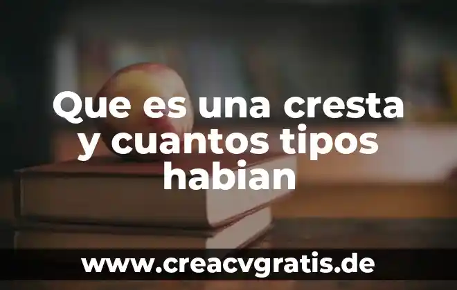 Que es un conector y cuantos tipos hay 4 Que es una cresta y cuantos tipos habian