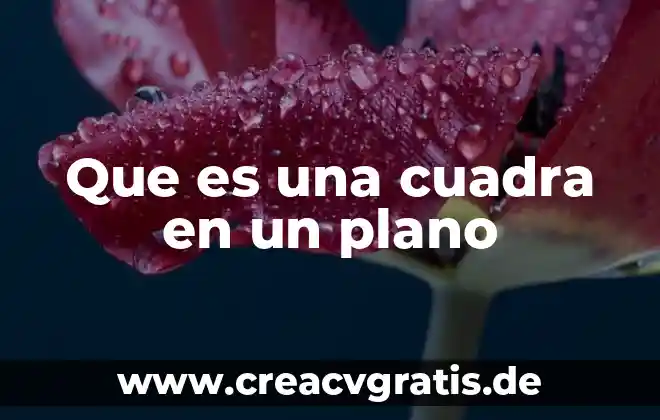 Qué es el símbolo más en un plano arq 3 Que es una cuadra en un plano