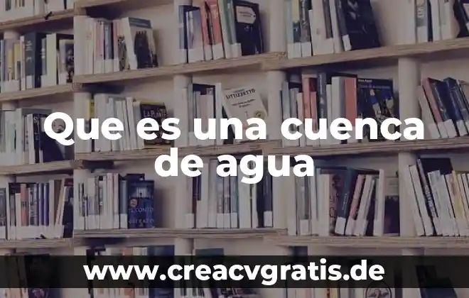 Que es el organismo de cuenca balsas 7 Que es una cuenca de agua