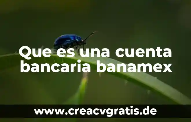 Qué es el número de error 96 en banamex 4 Que es una cuenta bancaria banamex